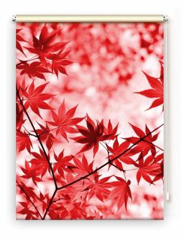 Rollo Roter Herbst, Rollo, Motivrollo, Rollo mit Druck, Fotorollo, bedrucktes Rollo, Fensterrollo,verdunkelndes Rollo, Sonnenschutz Rollo
